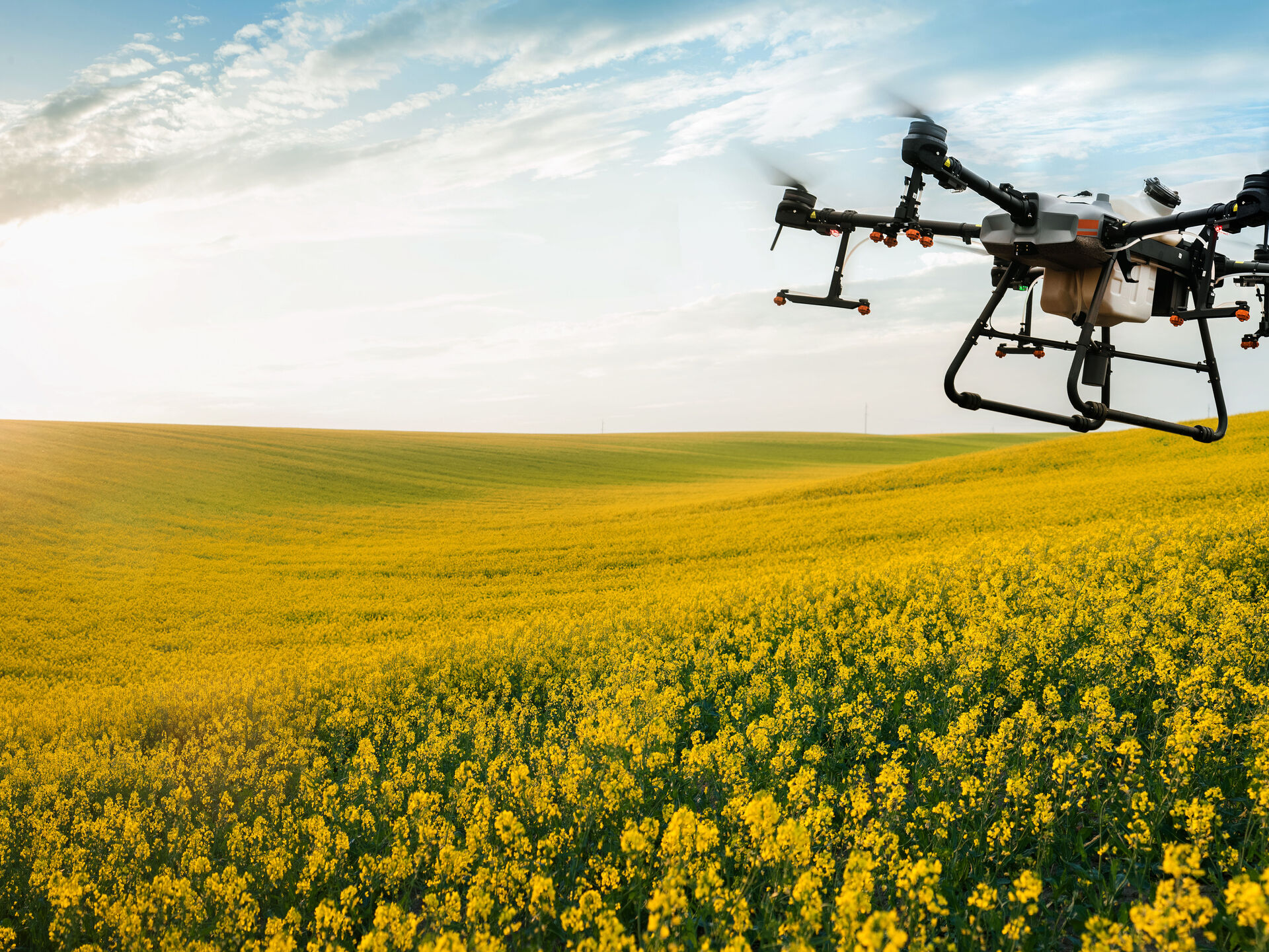 Drohnen in der Landwirtschaft erfreuen sich steigender Beliebtheit 