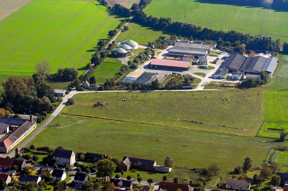 Luftbild von einem Milchviehbetrieb