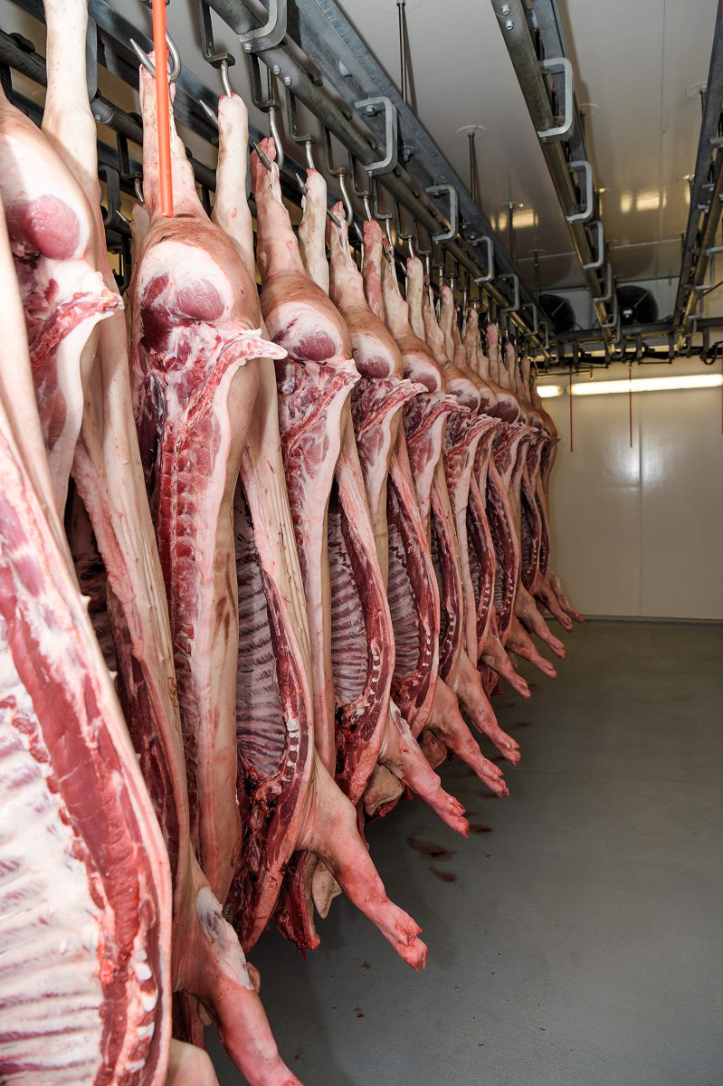 Schweinehälften im Schlachthof