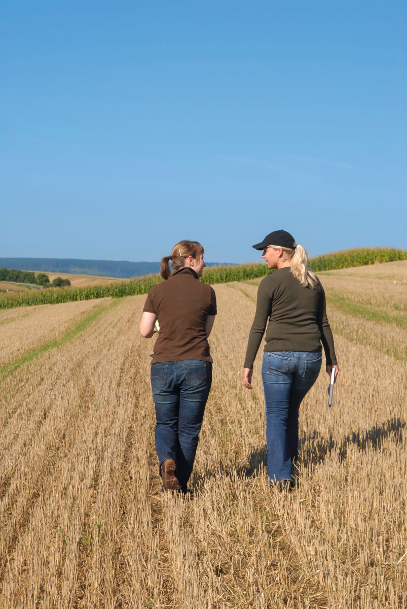Frauen auf dem Feld