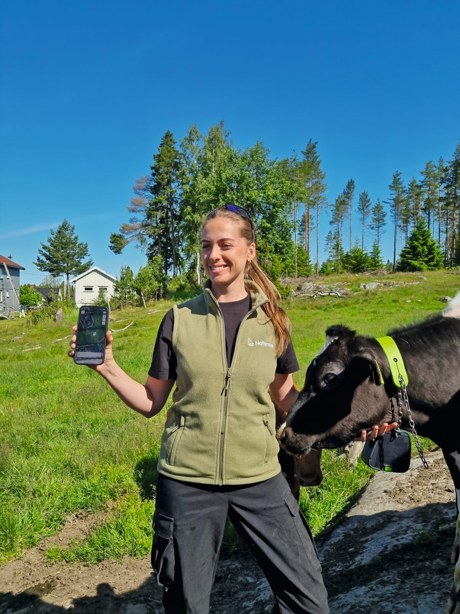 Eine Landwirtin zeigt ein Smartphone, auf dem virtuelle Zäune ersichtlich sind