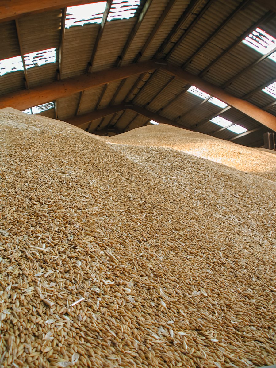 Getreidehaufen im Lager