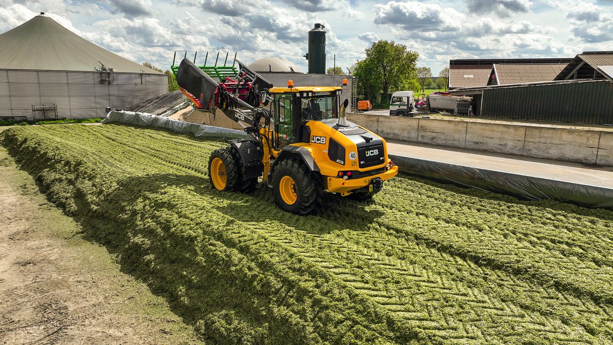 Ein Radlader verdichtet Maissilage im Silo