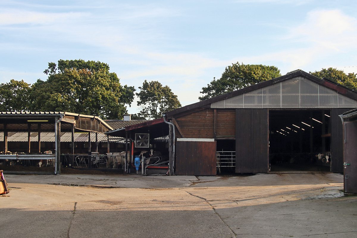 Milchviehstall