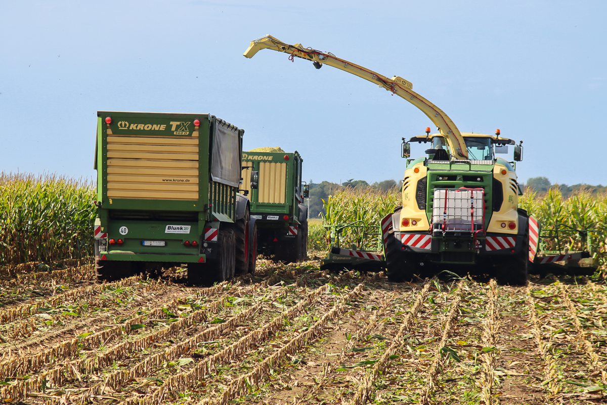 Häcksler und Wagen bei der Maisernte
