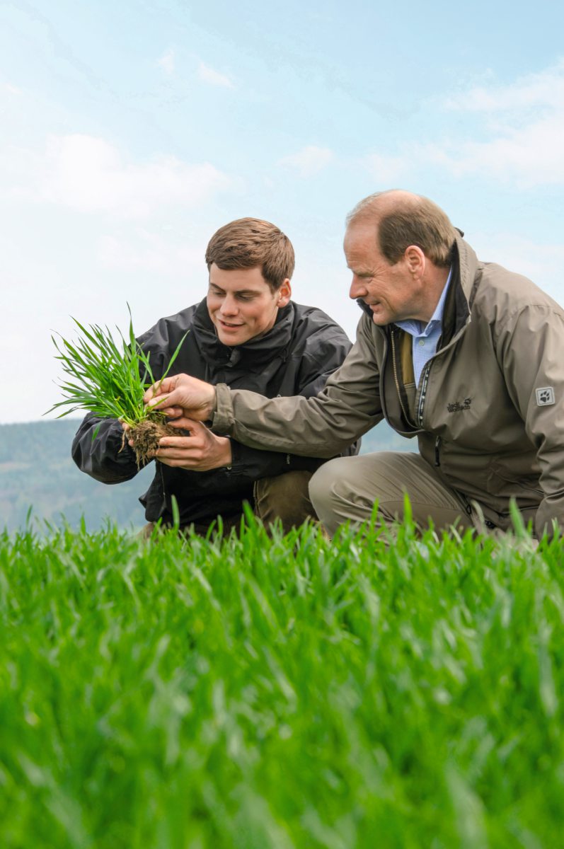 Zwei Landwirte auf dem Acker betrachten eine Getreidepflanze