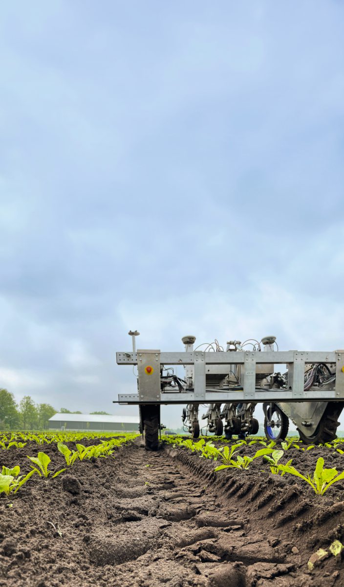 Roboter mit kamerabasierter Hacktechnik