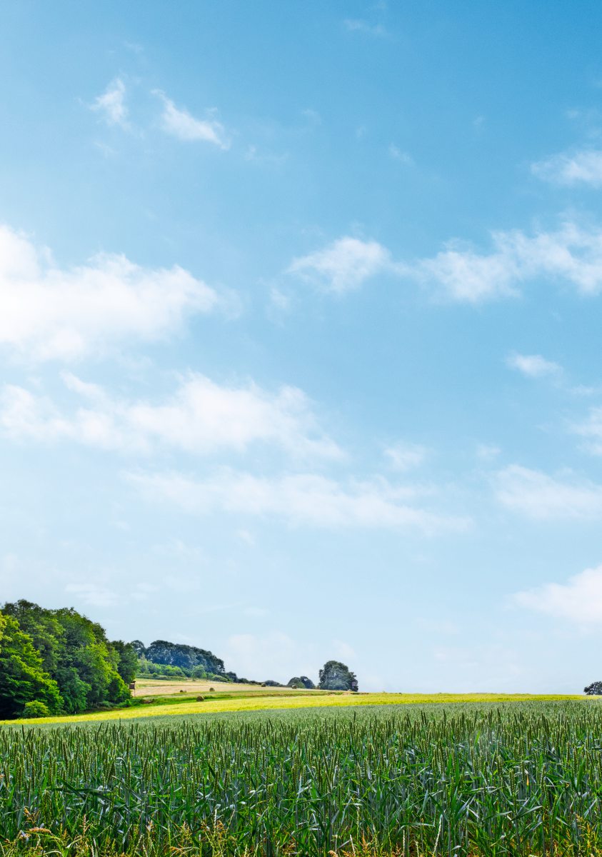 Landschaftsbild Acker
