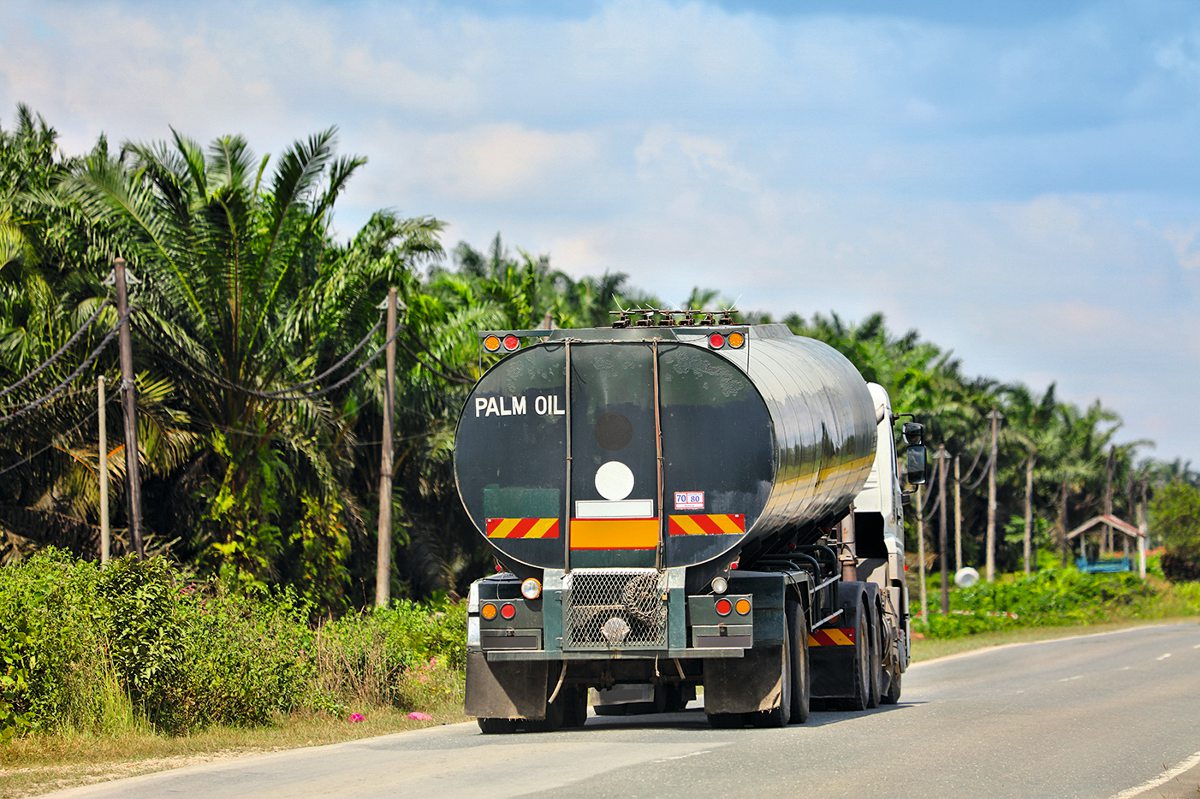 Lastwagen transportiert Palmöl in Malaysia
