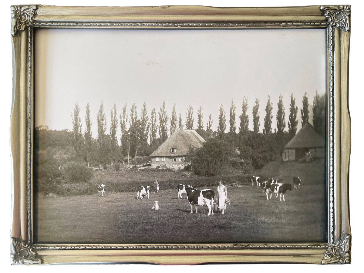 Historisches Bild eines Hofes
