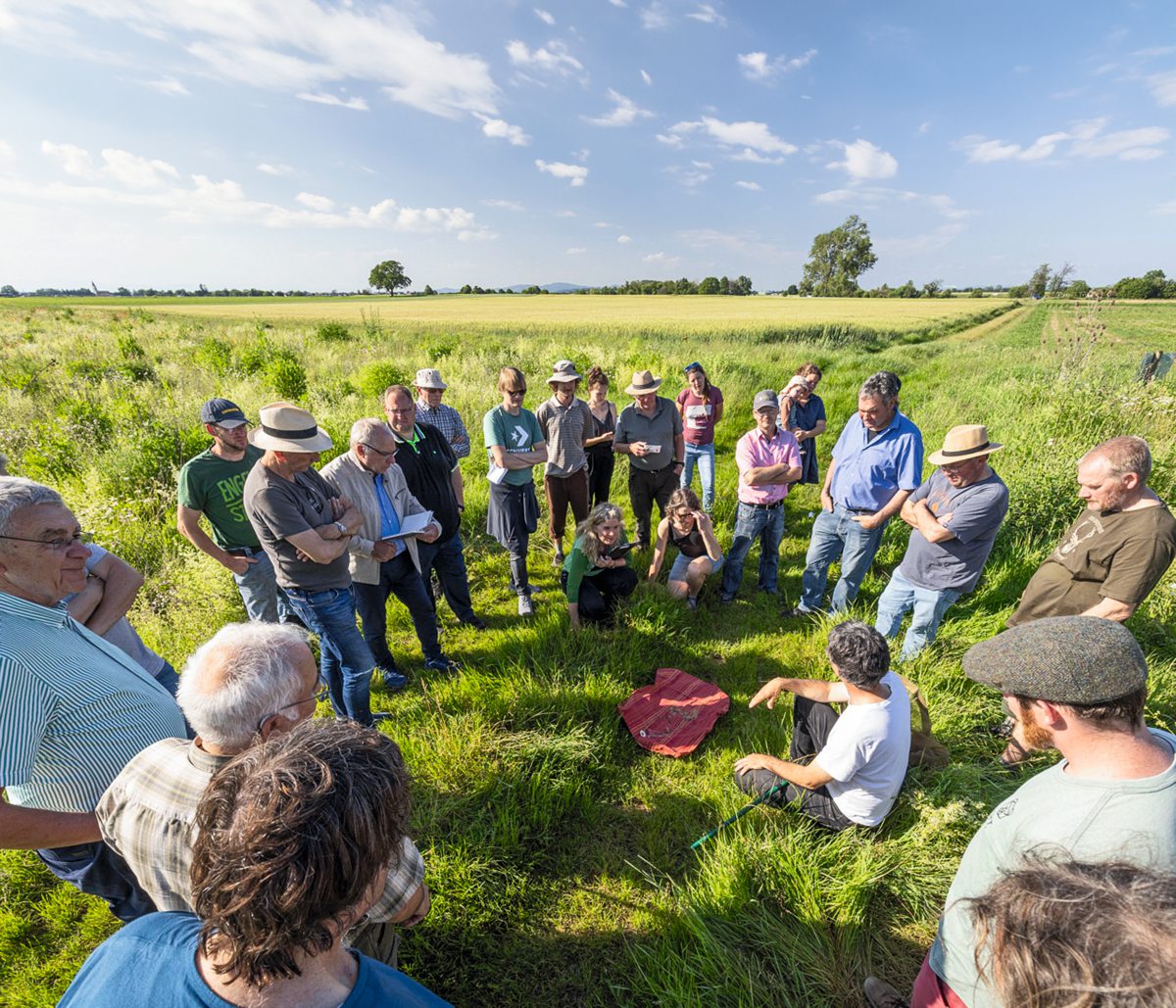 Mann hält Vortrag vor einer Gruppe im Feld