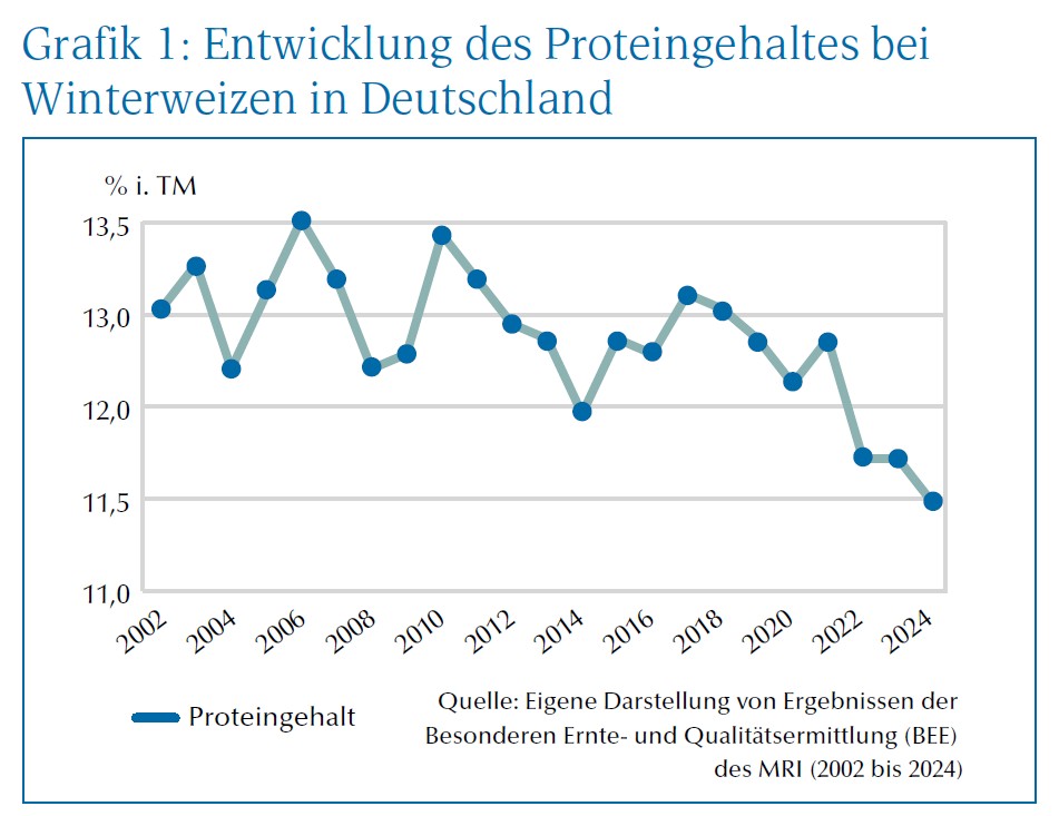 Grafik Entwicklung des Proteingehaltes bei Winterweizen