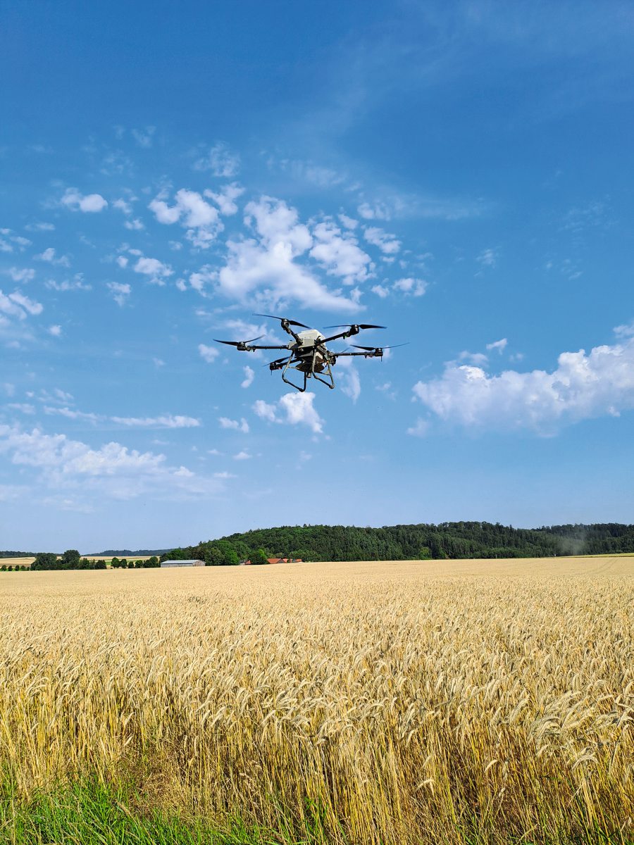 Drohne fliegt über ein Getreidefeld