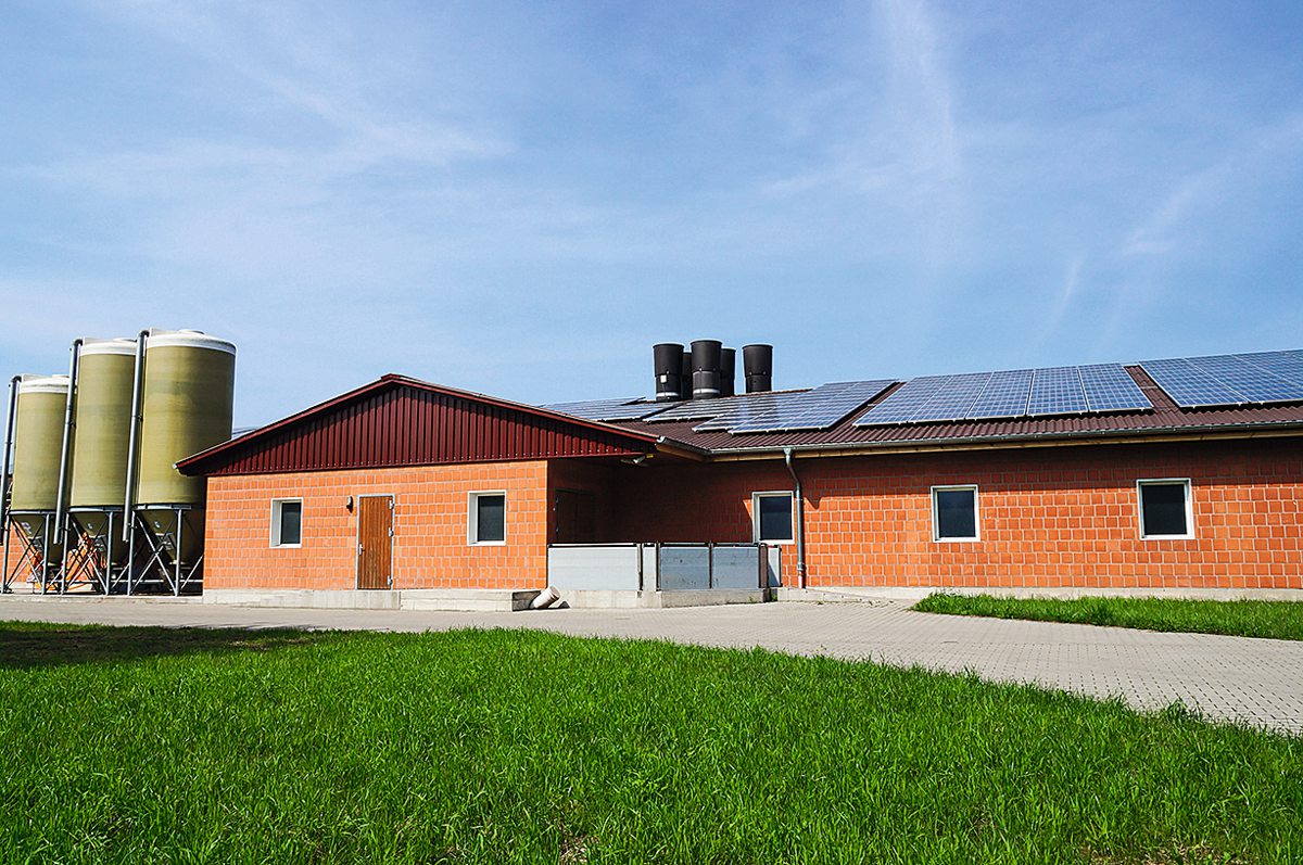 Moderner Schweinestall
