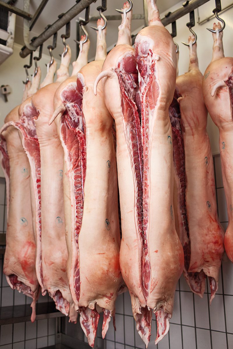 Schweinehälften im Schlachthof