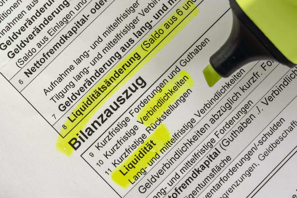 Bilanzauszug Erklärung