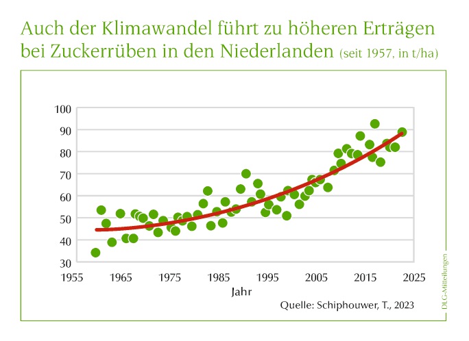 Grafik Zuckerrübenerträge im Zeitraum 1955 bis 2025