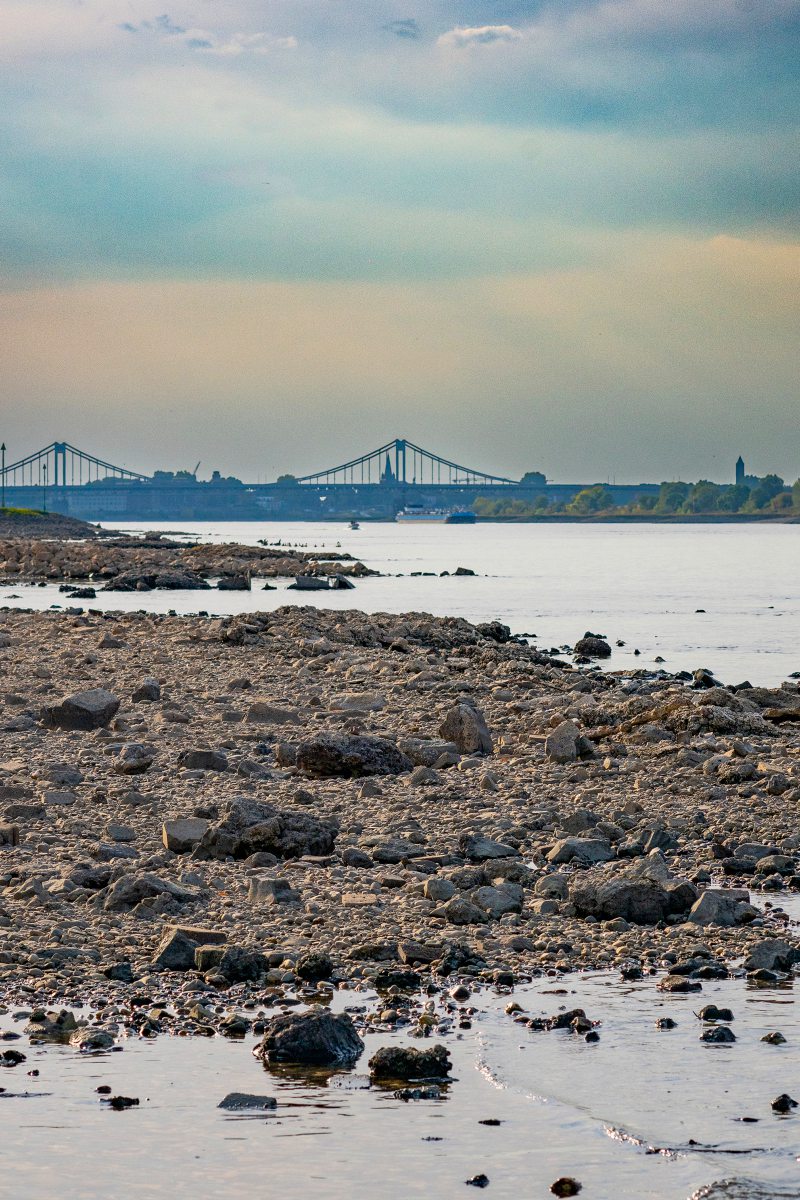 Rhein mit extrem geringem Wasserpegel