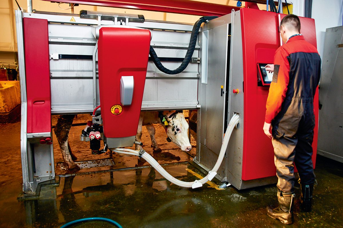 Ein Mann steht am Melkroboter