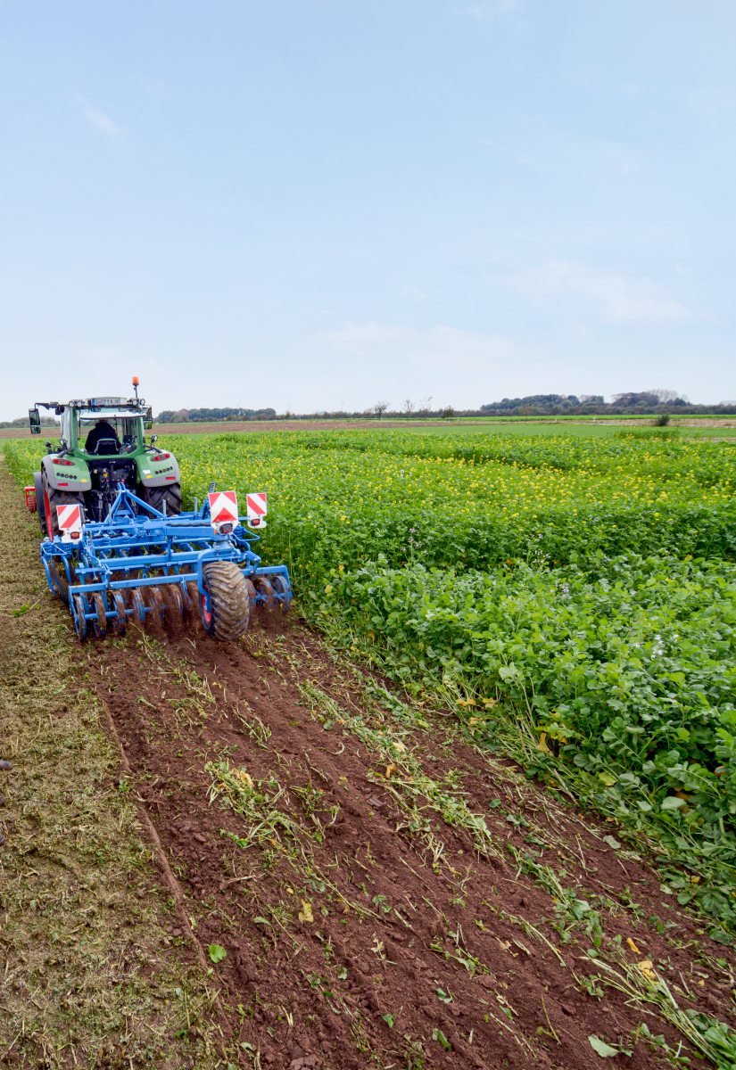 Einarbeitung von Zwischenfrüchten mit einer Lemken Rubin 12 Scheibenegge.