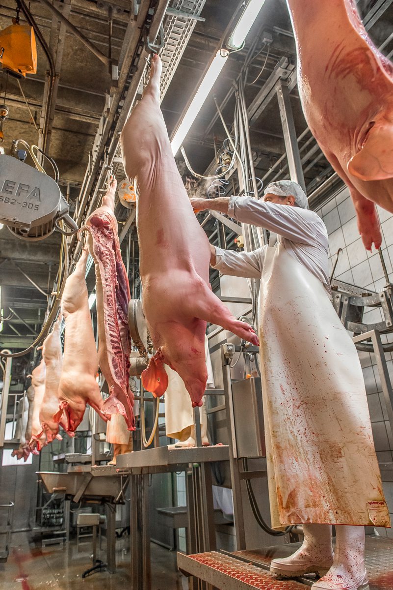 Schweinehälften im Schlachthof