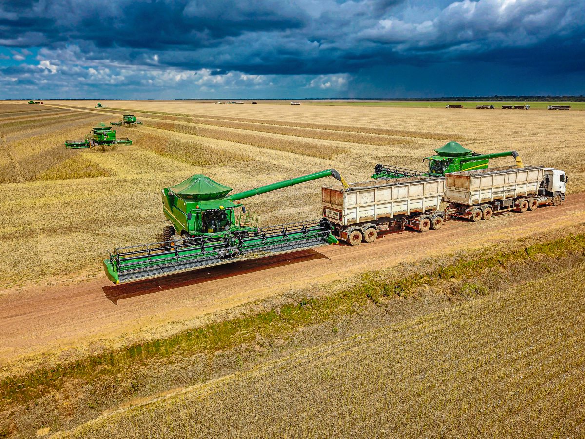 Sojaernte in Brasilien