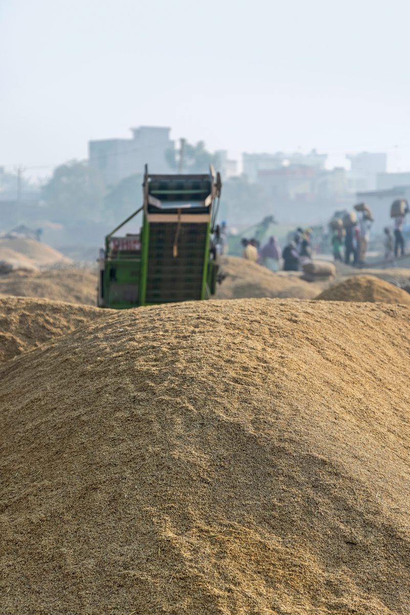Getreidehaufen auf einem Markt in Indien