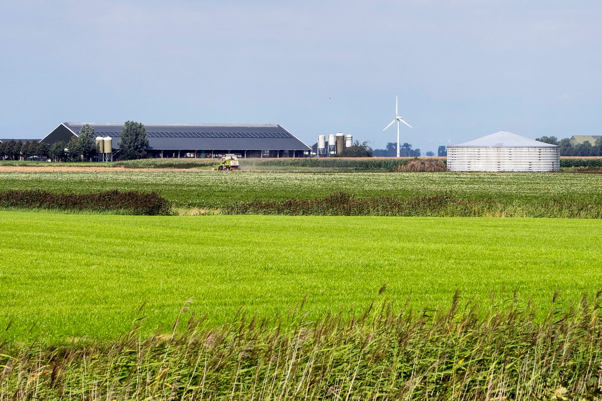 Landschaftsbild, im Hintergrund ein Milchviehbetrieb und ein Güllebehälter