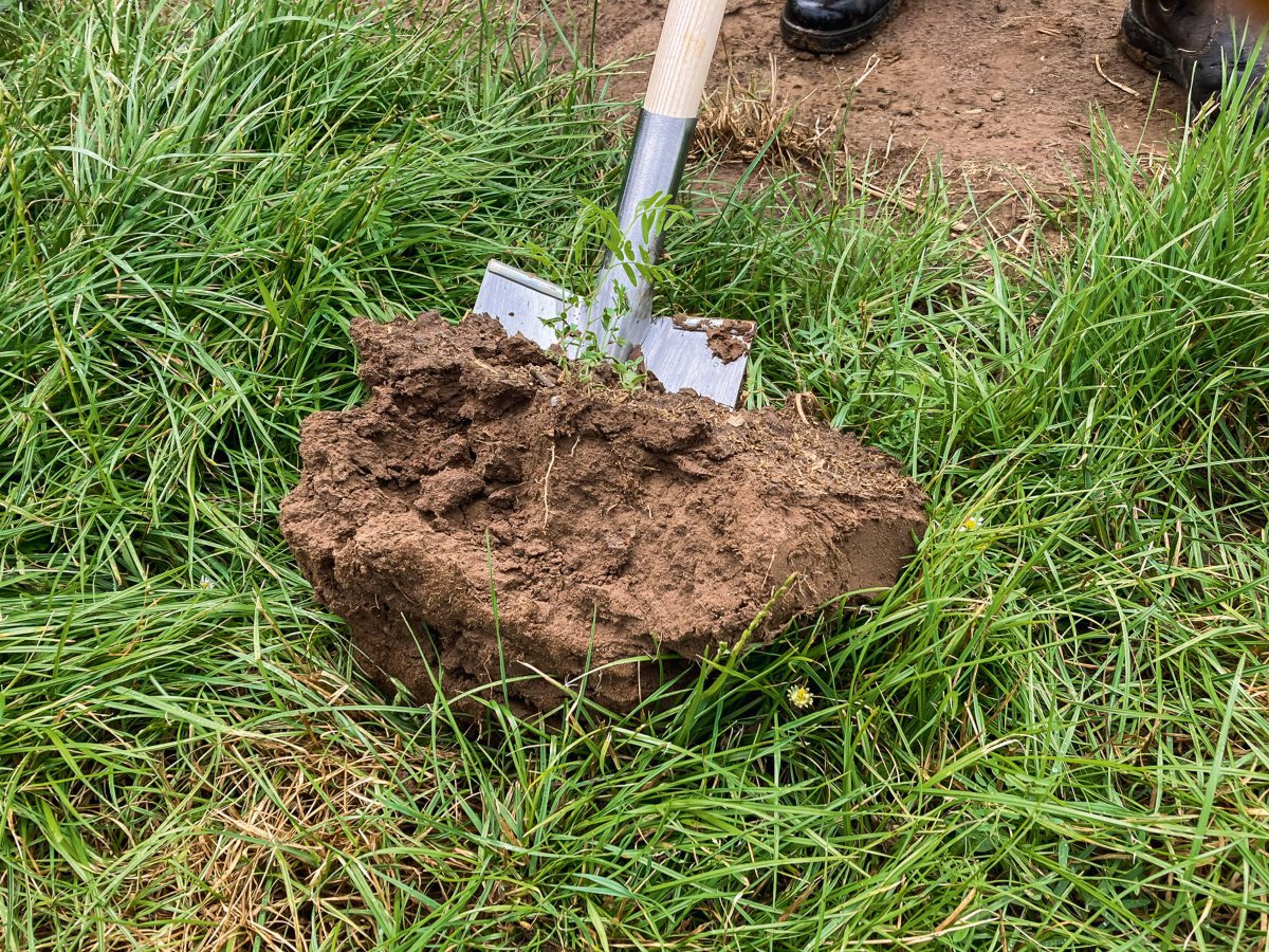 Ein Spaten mit einem Stück Ackerboden
