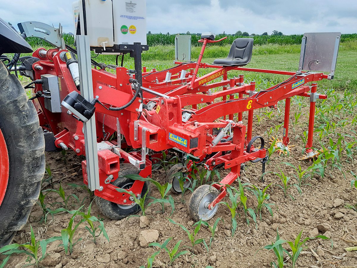 Sensorgesteuerte Hacke im Mais