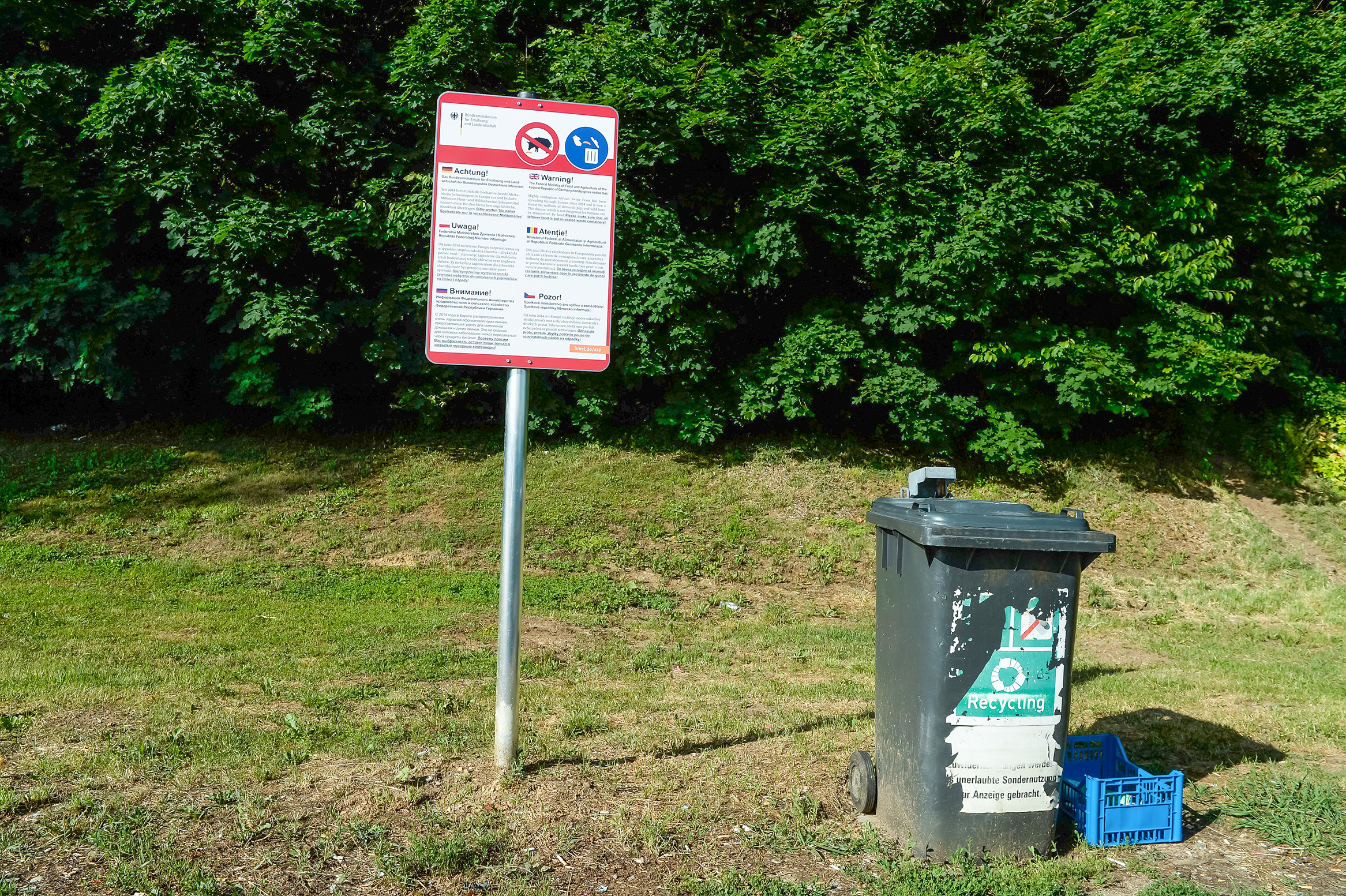 Mülltonne ASP Essensreste