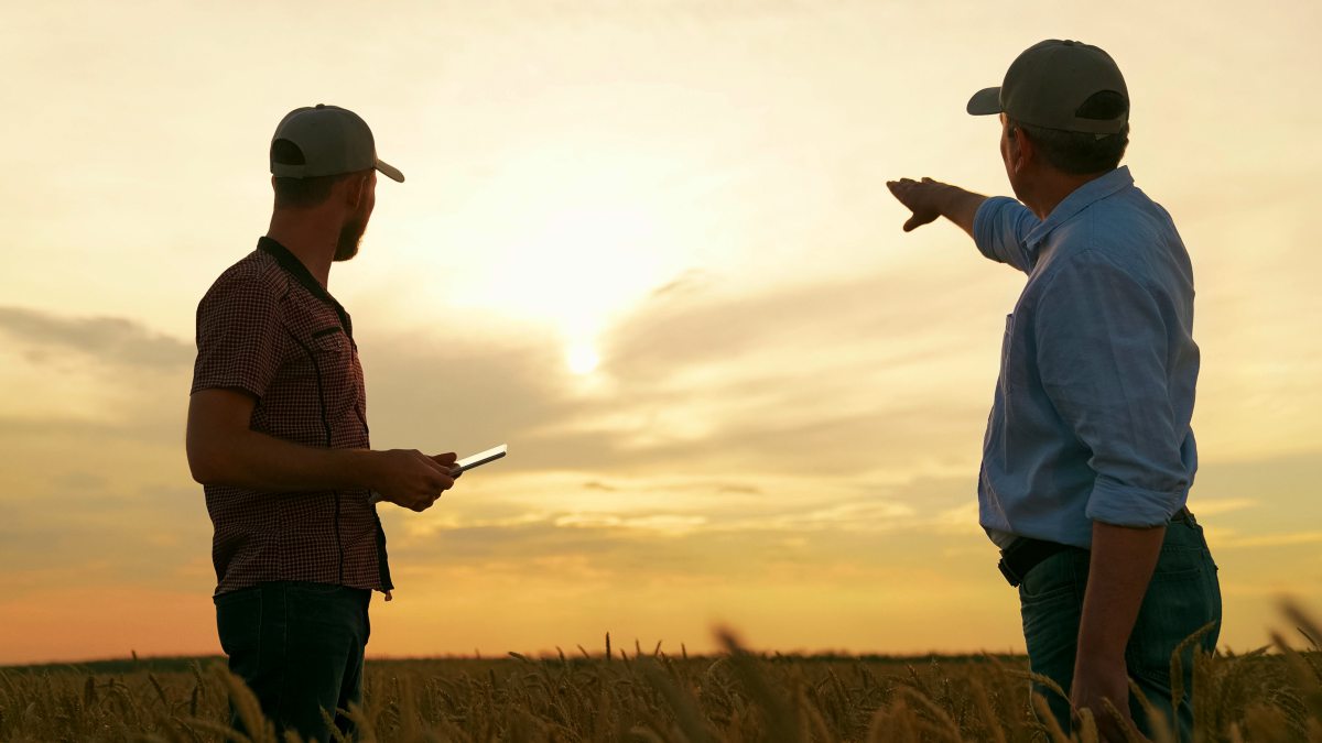Männer auf dem Feld- Blick in den Sonnenuntergang