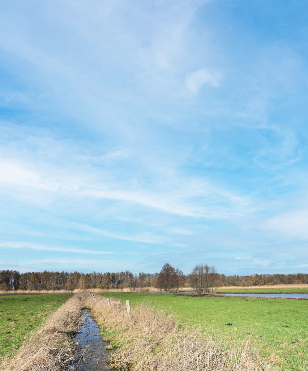 Entwässerungsgraben in Moorwiesen