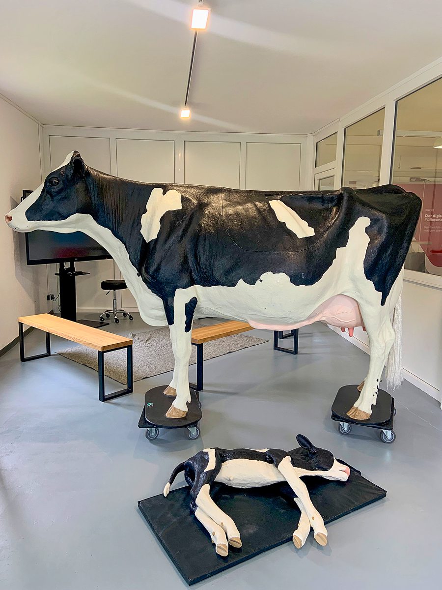Tiermodell zur Kälbergeburt