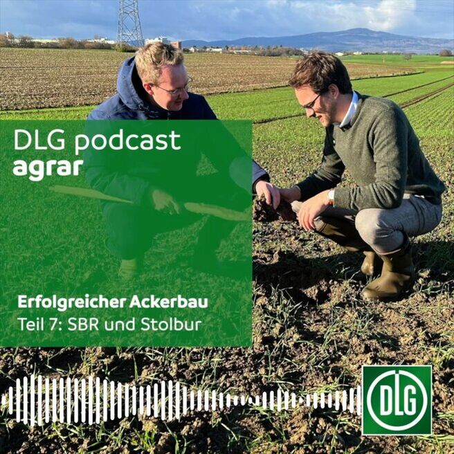 Teaserbild DLG Podcast SBR Stolbur