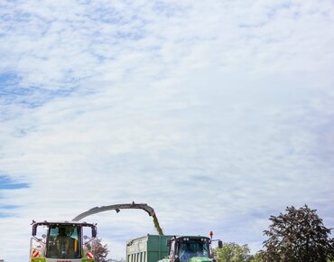 Häcksler lädt Grassilage auf einen Ladewagen