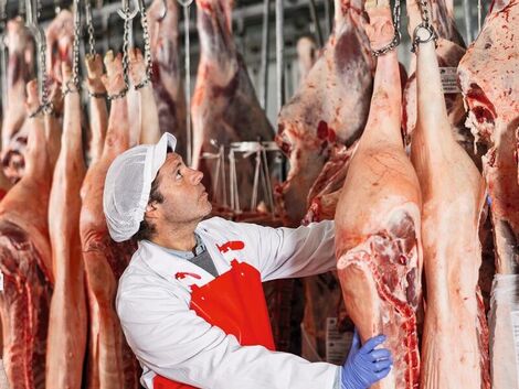 Schweinefleisch. China bremst die Exporteure aus