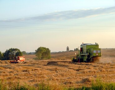 alter Mähdrescher bei der Ernte, Polen