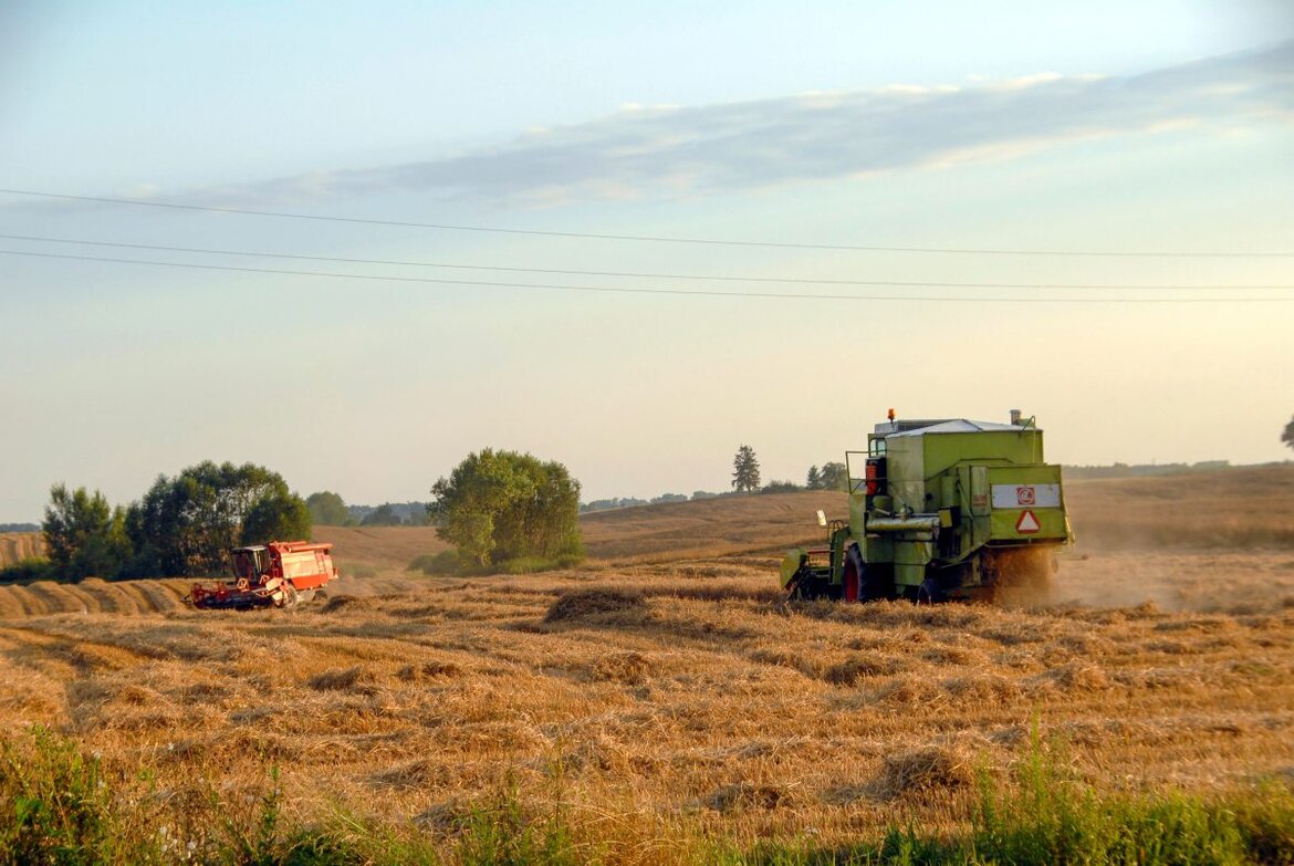 alter Mähdrescher bei der Ernte, Polen