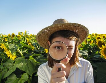 Frau mit einer Lupe steht vor einem Sonnenblumenfeld