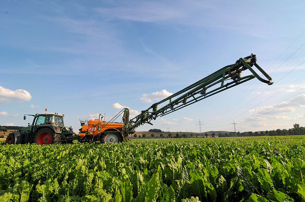 Eine Pflanzenschutzspritze fährt über einen Rübenacker