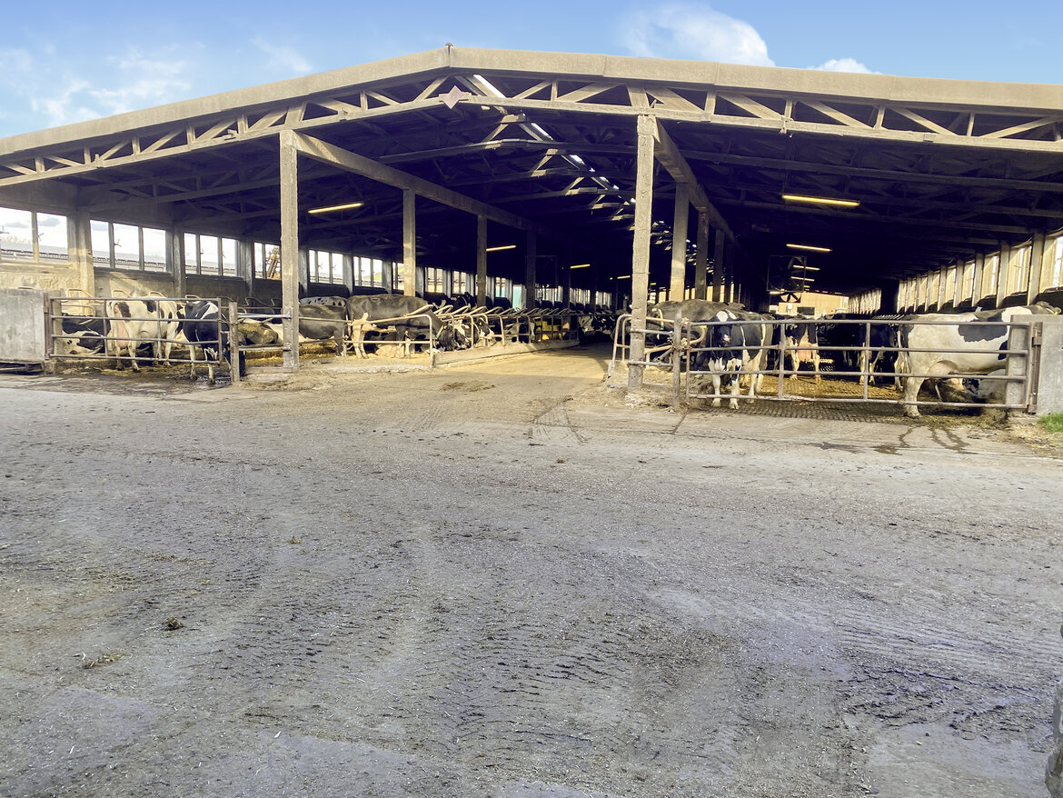 Kuhstall Altgebäude nach Umbau