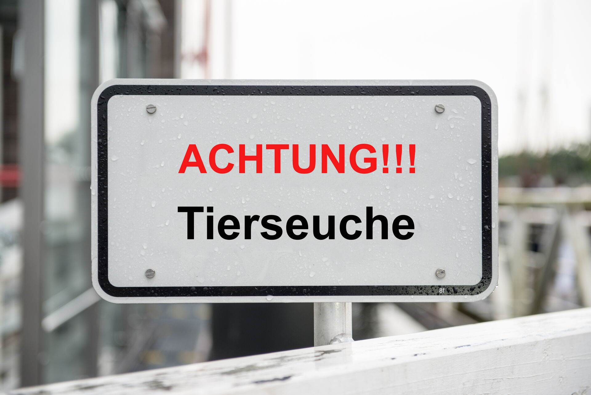 Schild Maul- und Klauenseuche 