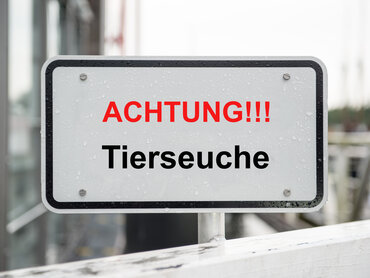 Warnschild Tierseuche