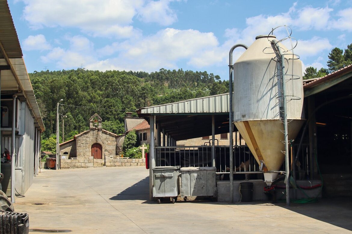 Milchviehbetrieb in Portugal in Ortslage