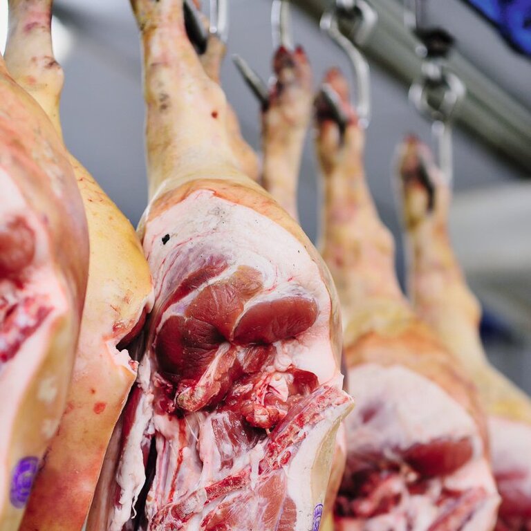 Schweinehälften im Schlachthaus