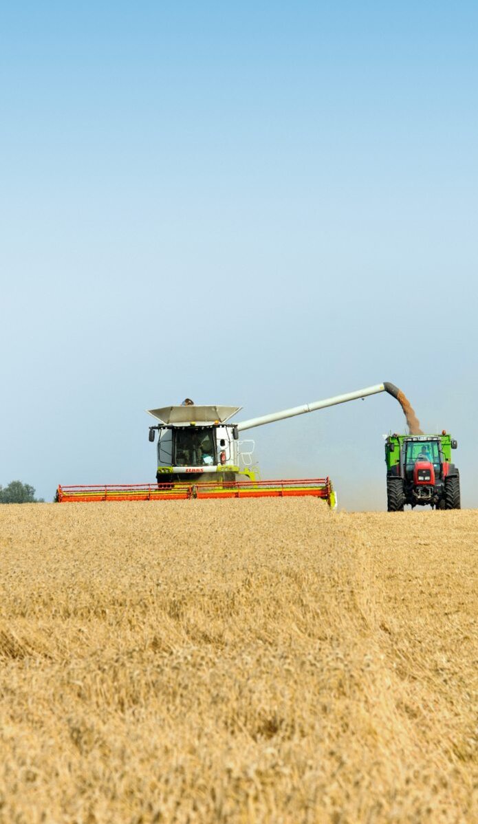 Mähdrescher bei der Ernte