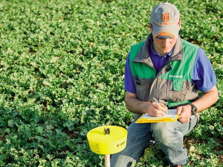 Integrierter Pflanzenschutz. Fordern und Fördern