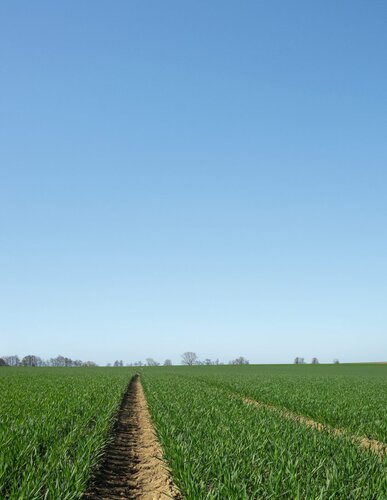 Fahrgassen 