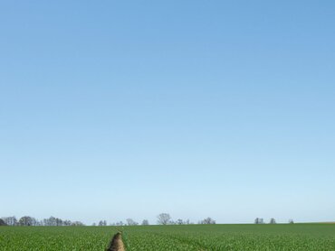 Fahrgassen 